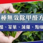 證實無效的四種除甲醛方法:食醋、茶葉、菠蘿、點蠟燭能除甲醛?