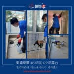 【裝修後、入住前深層清潔｜高效蟲控防治｜清洗露台】|  東涌東環