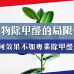 植物除甲醛方法的局限性:為何效果不如專業除甲醛公司?