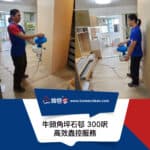【高效蟲控服務】| 牛頭角坪石邨