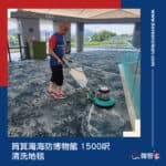 【清洗地毯服務】| 筲箕灣海防博物館