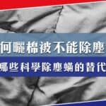 為何太陽曬棉被並非塵蟎的剋星？有哪些科學除塵蟎的方法？