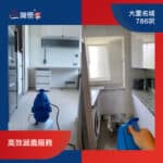 【高效蟲控服務】| 大圍名城